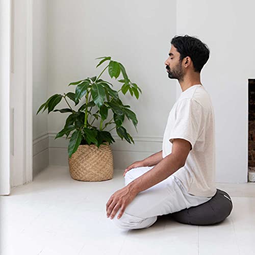 Basaho CRESCENT Zafu Meditation Cushion | Organic Cotton | Buckwheat Hulls | Removable Washable Cover (Mango)